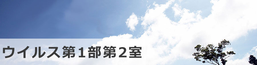 header-main3-1.jpg