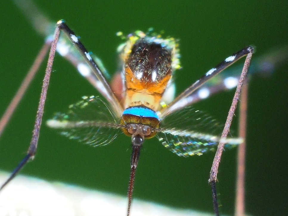 image2.png