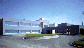 pic-mura.gif