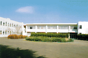 pic-tama.gif