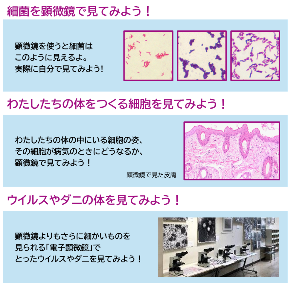 openhouse-m-07.png