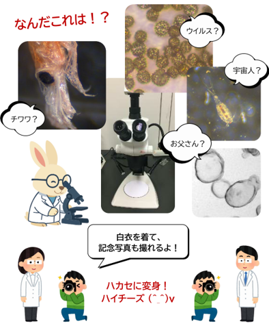 openhouse-m-08.png