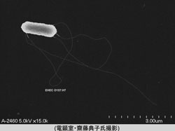 O1570.25.jpg