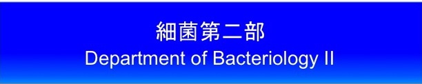 bacii_title_4.jpg