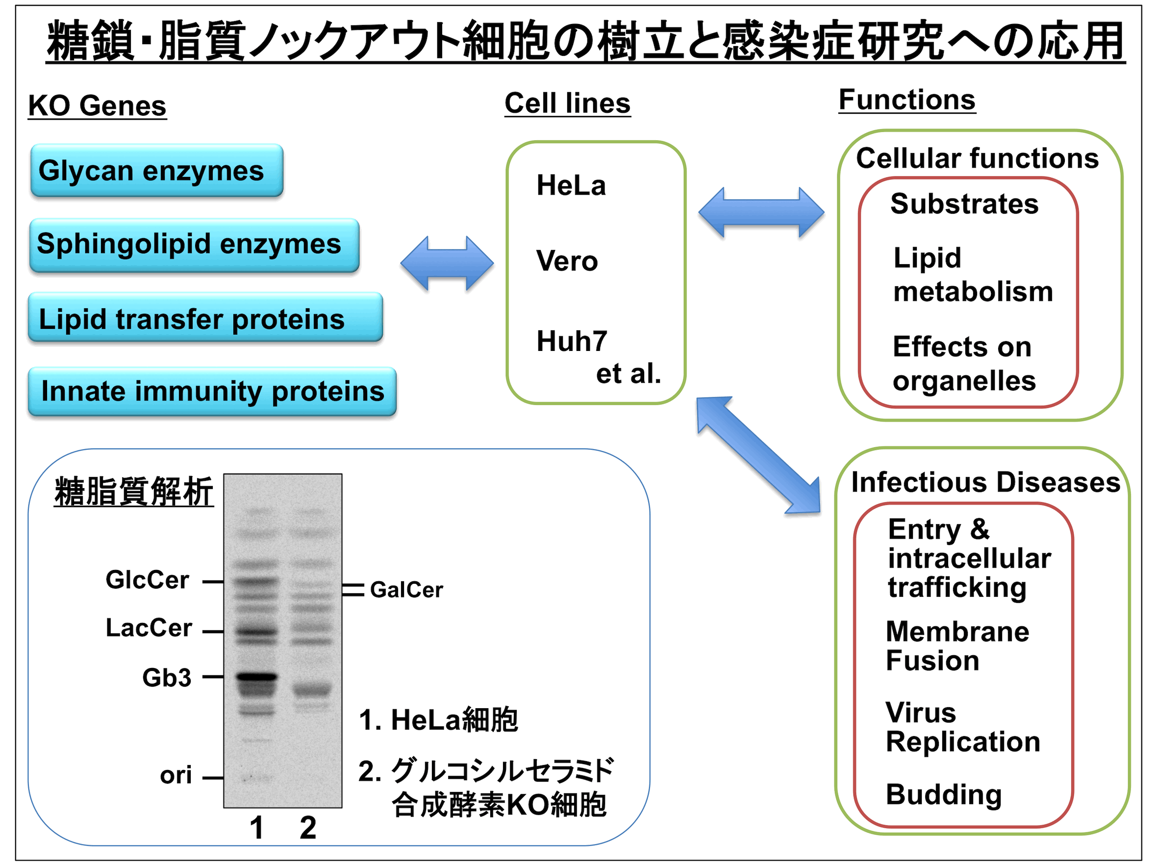Fig3.gif