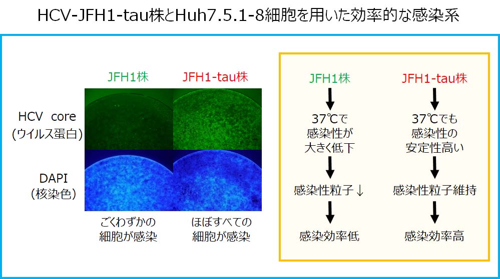 5Fig1.jpg