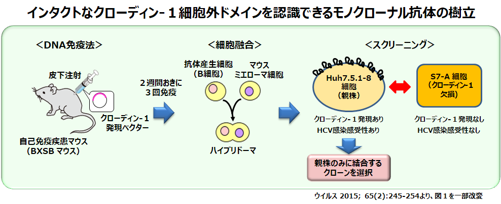 JVI-2015-2-Fig1.png