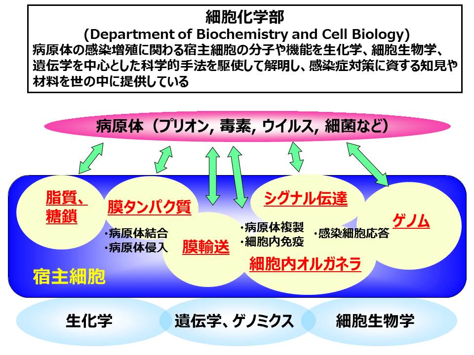HP2015.5.15revised.jpg