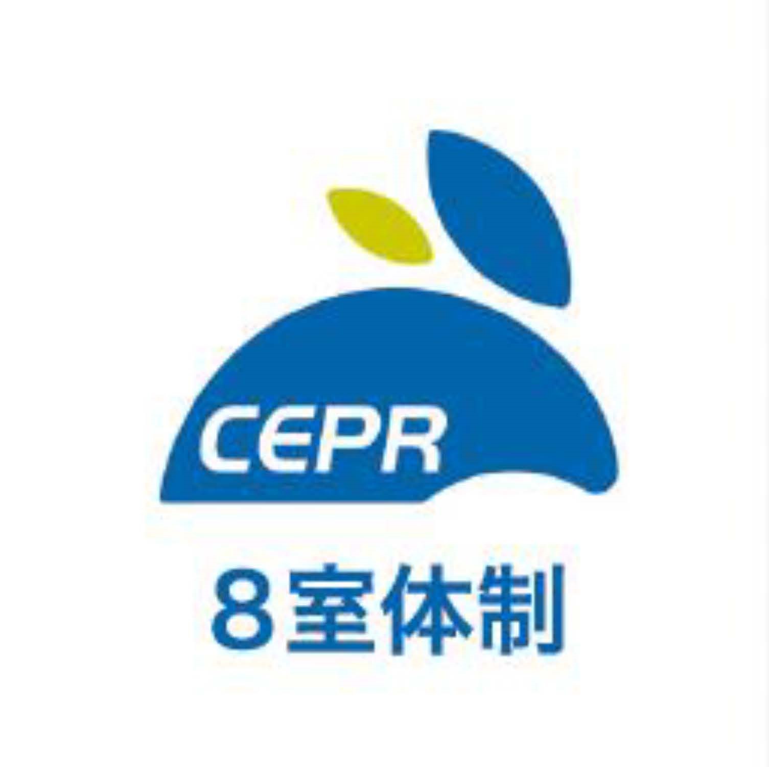 CEPR_19.jpg