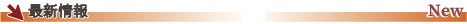 h2_line_01.png