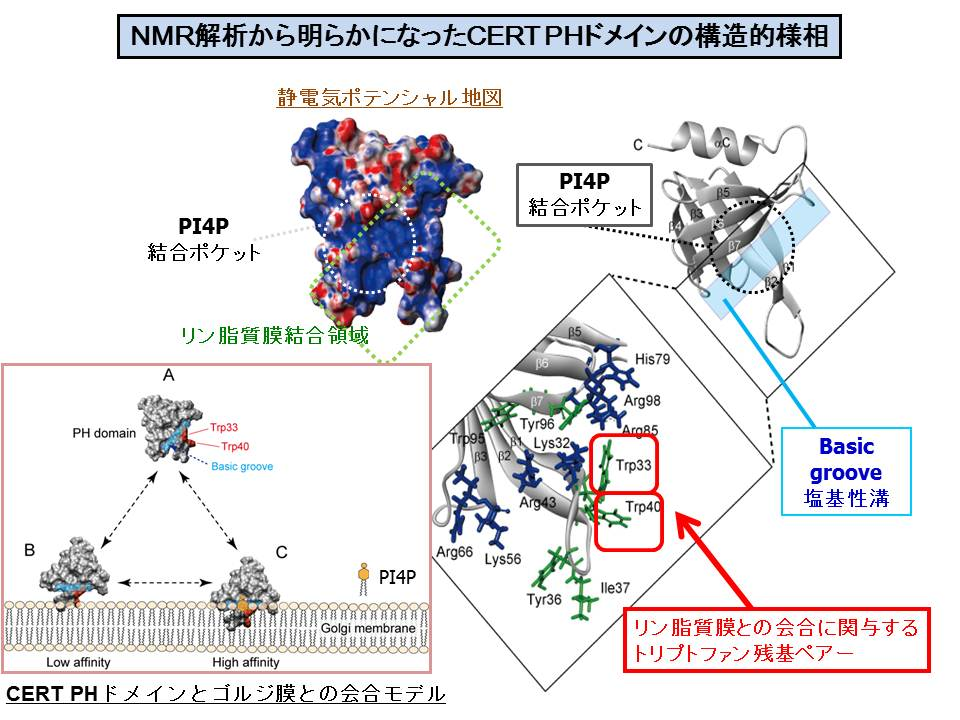 biochem-2012-003.png