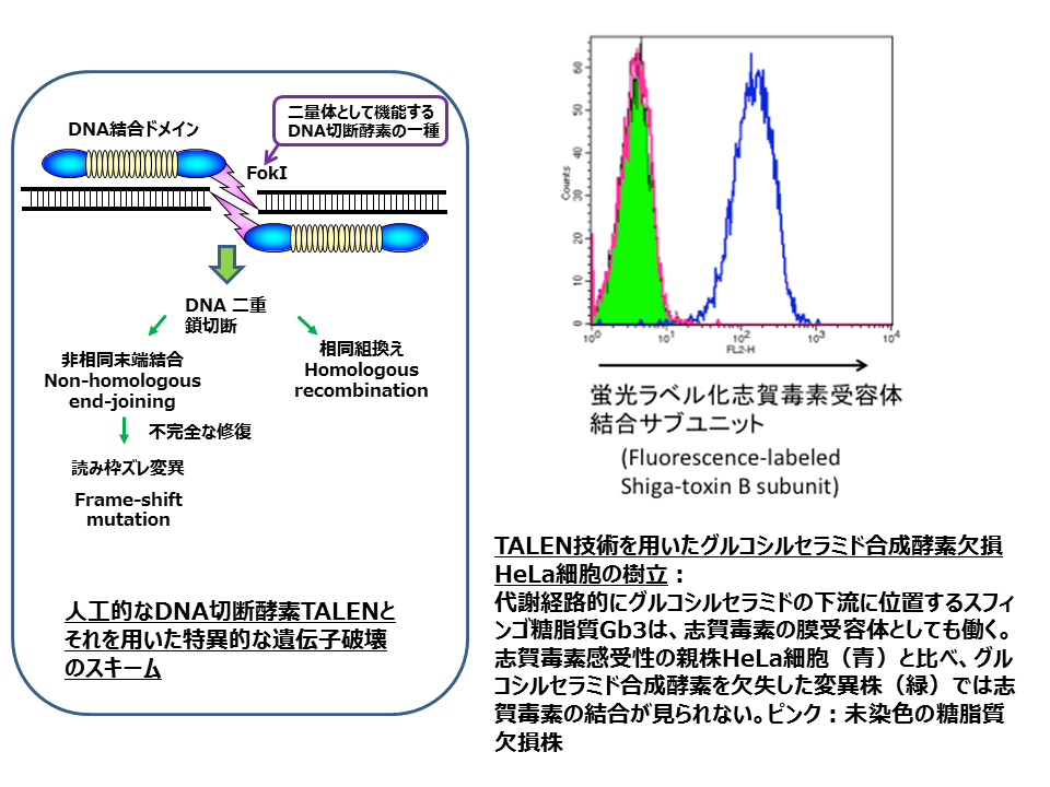 biochem-2014-001.png