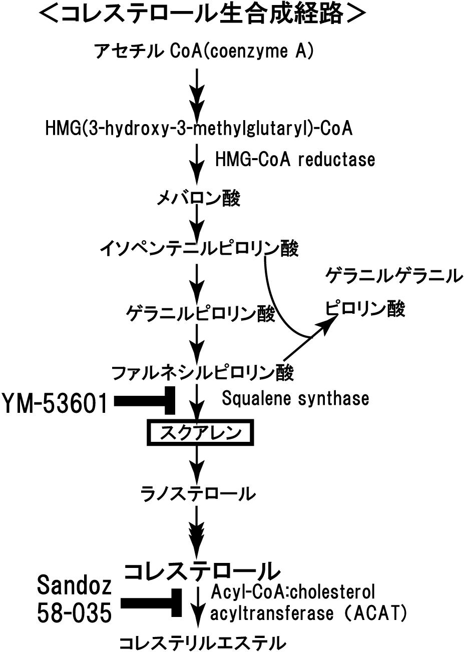 biochem-2015-02.jpg