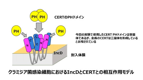 biochem-2019-1.jpg