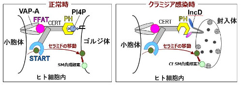 biochem-2020-1.jpg