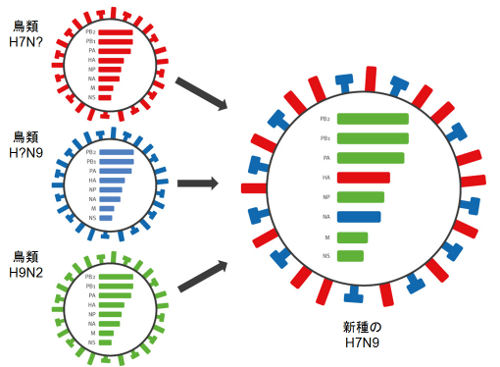 flu-2013-01-fig.png