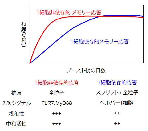 immunology-2016-1.jpg