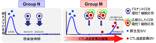 immunology-2016-2.png