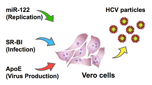 vac-2016-1.jpg