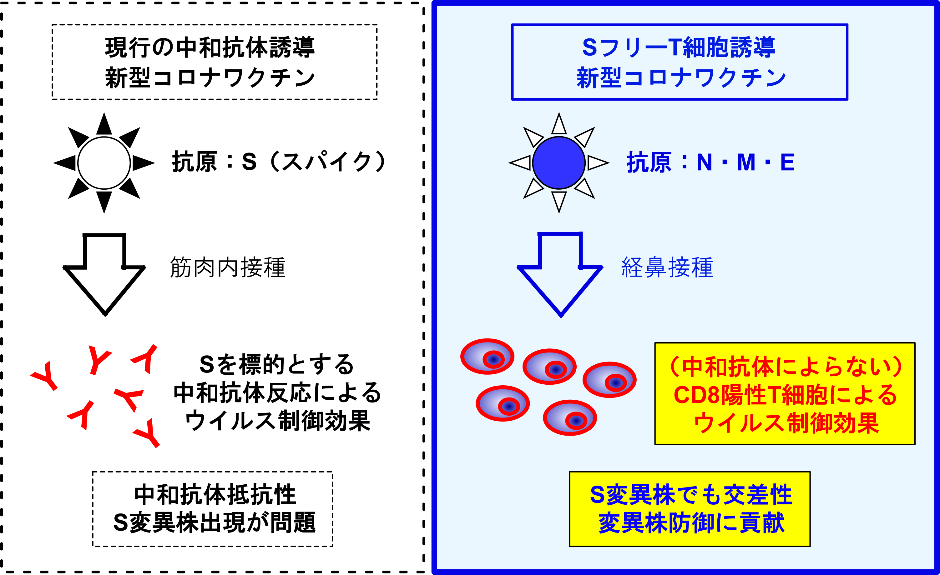 vaccine-2022-02.jpg
