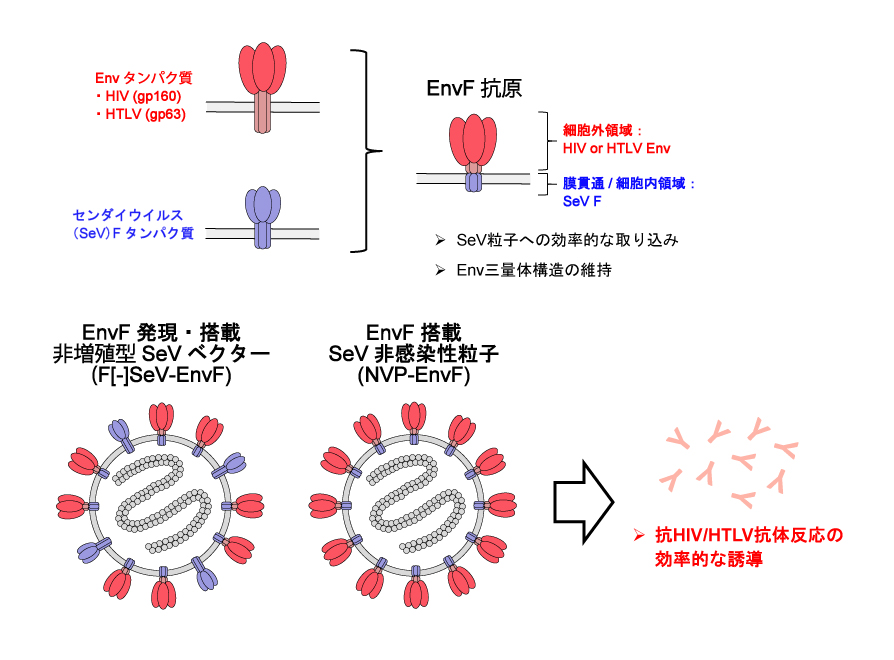 vaccine-2022-03.jpg