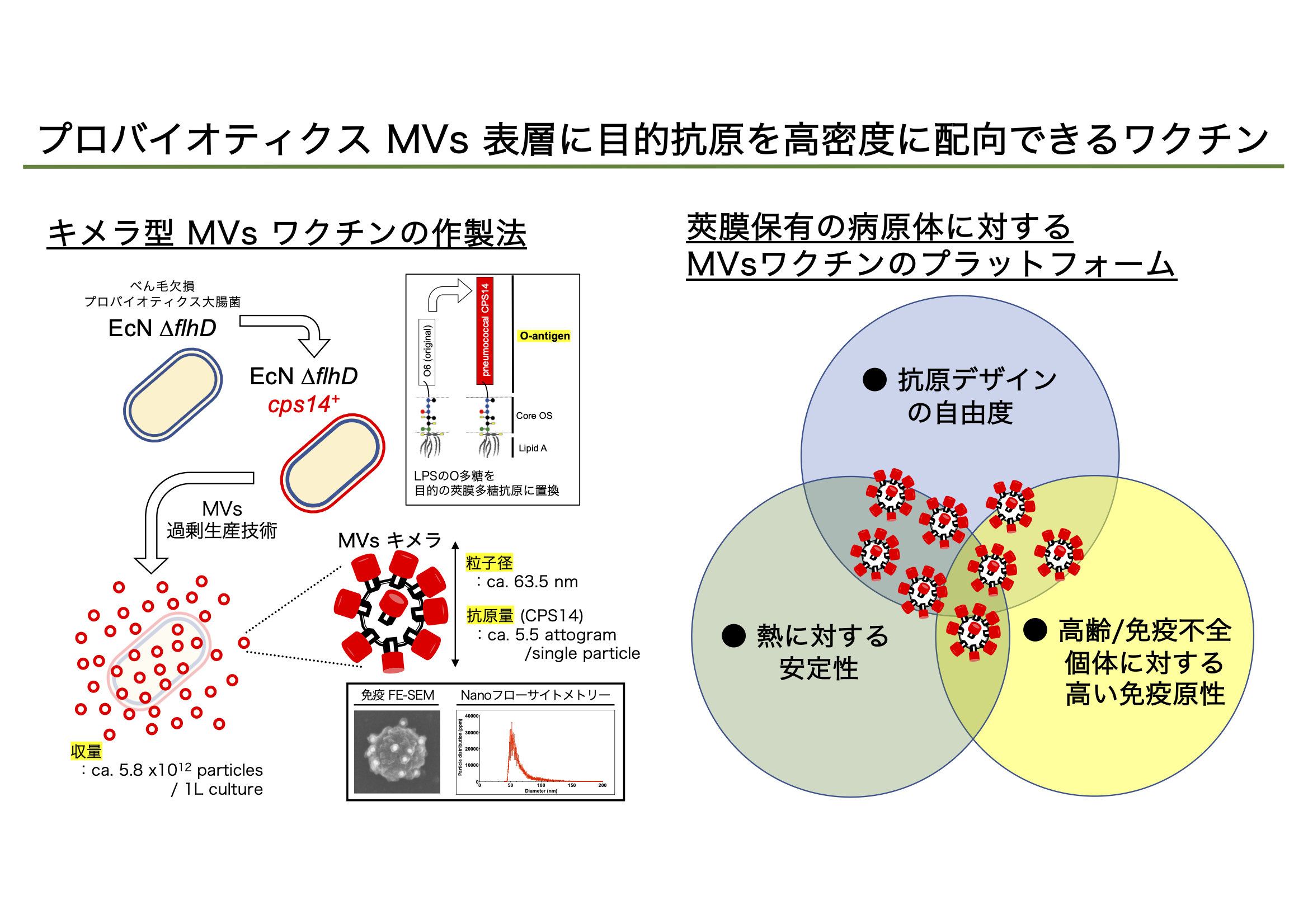 vaccine-2022-06.jpg