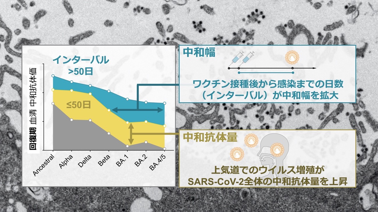 vaccine-2023-01.jpg