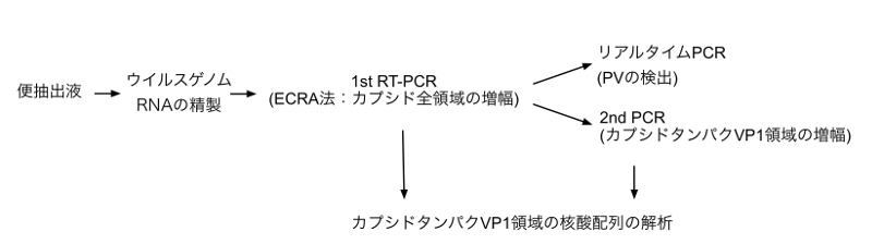 vir-2014-002.png