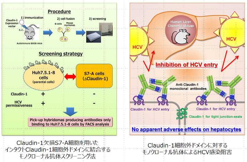virology-2015-2.png