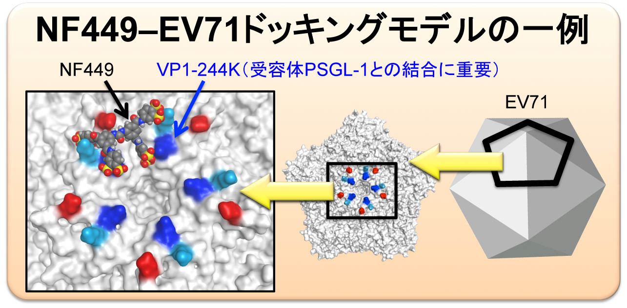 virology-2015-3.jpg
