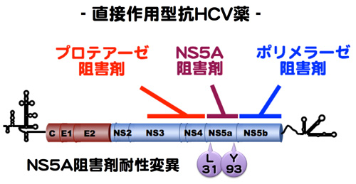 virology-2016-2.jpg