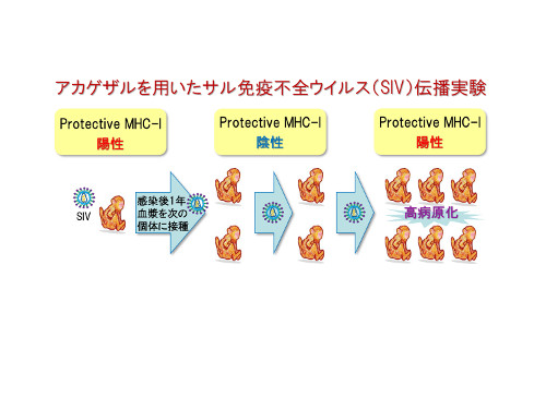 virology-2017-6.jpg
