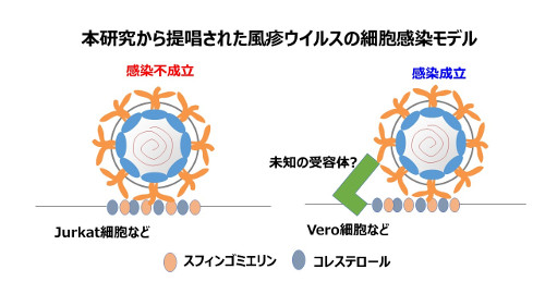 virology-2018-2.jpg