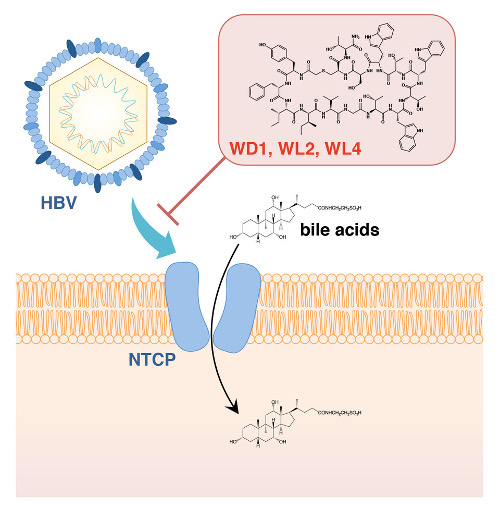 virology-2018-3.jpg