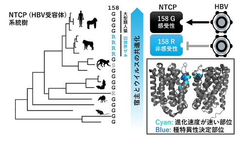 virology-2018-6.jpg