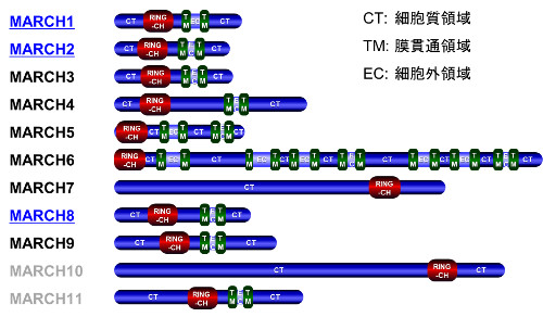 virology-2019-3.jpg