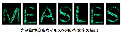 virology-2019-6.jpg