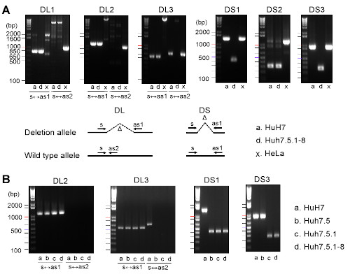 molbio 2018 1