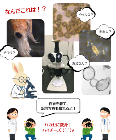 openhouse-m-08.png