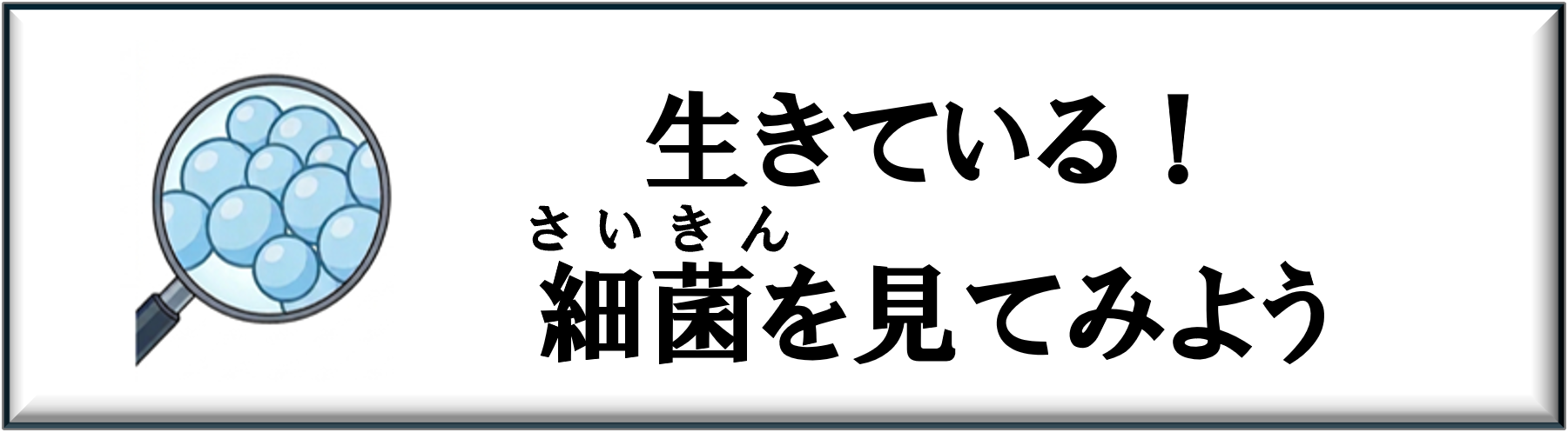 生きている！細菌を見てみよう