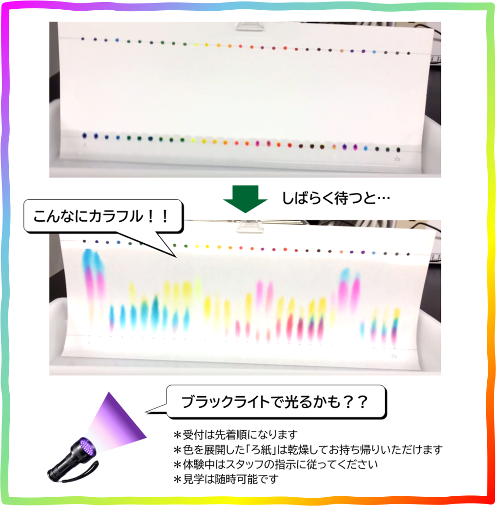 ろ紙クロマトグラフィー